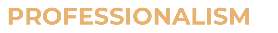 profesionalism
